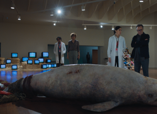 files_2024-04-03_14_14_08